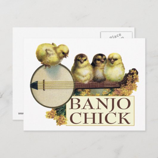 Banjo Chick Postcard Postkarte (Vorne/Hinten)