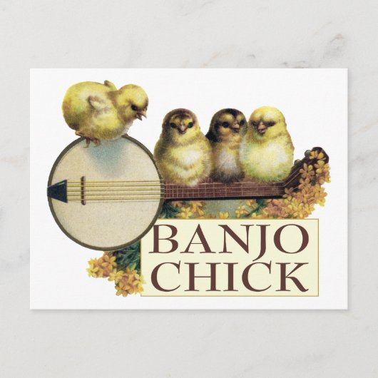 Banjo Chick Postkarte (Vorderseite)