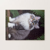Banjo Der Fluffy Persian Cat, Jigsaw Puzzle (Horizontal)