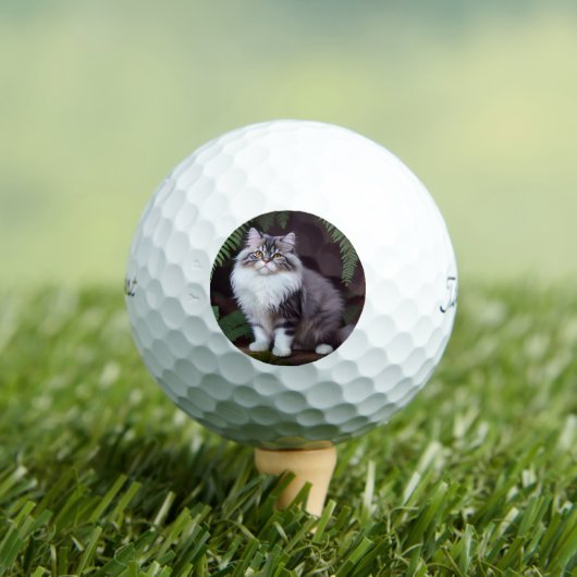 Banjo der Perser: Ein flauschiges Grau und Weiße F Golfball (Insitu T-Shirt)