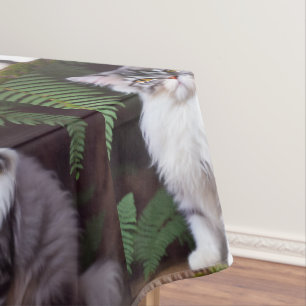 Banjo der Perser: Ein flauschiges Grau und Weiße F Tischdecke