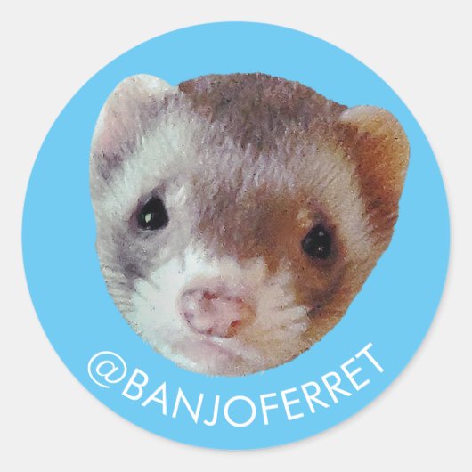 Banjo Face Sticker (Vorderseite)