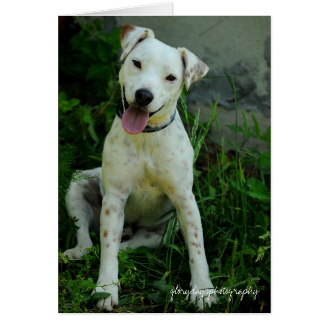 Banjo, Mai 2009 (Vorne)