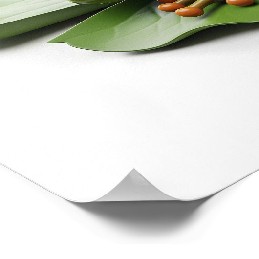 Banjo-Playing Frog Poster (Ecke)