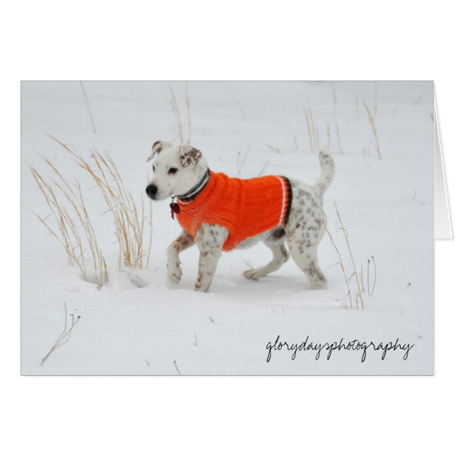 Banjo, Schnee-Tag (Vorderseite (Horizontal))