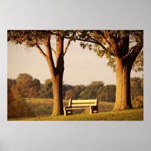 Bank bei Sunset Poster