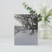 Bank im Winterschnee Postkarte (Stehend Vorderseite)