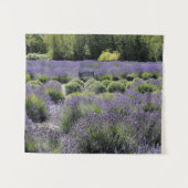 Bank in der Mitte eines Lavendelfeldes Wandteppich (Vorderseite (Horizontal))