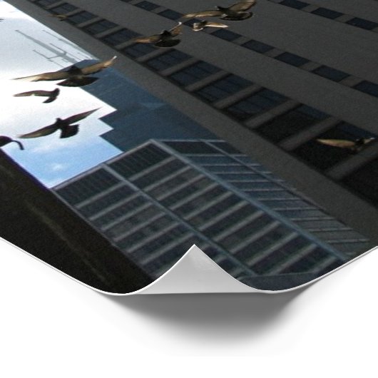 Bank One Plaza vs Tauben Escape Poster (Ecke)