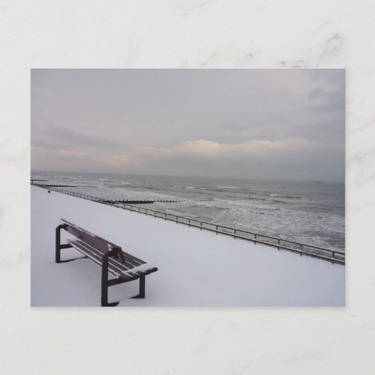 Bank, Schnee und Meer Postkarte (Vorderseite)