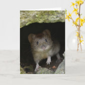 Bank vole karte (Gelbe Blume)