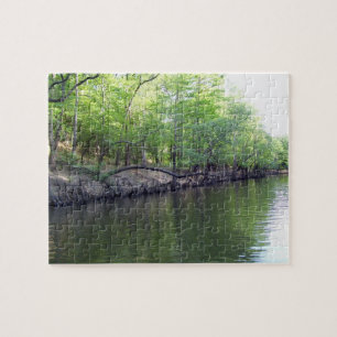 Banks of Big Cypress Bayou (Jefferson, TX) Puzzle