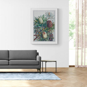 Banksia-Blume   Ellis Rowan 1782 Poster