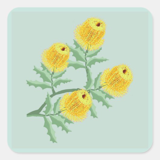 Banksia-Blume Quadratischer Aufkleber (Vorderseite)