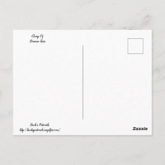 Bannana Trees Postkarte (Rückseite)