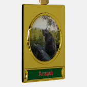 Banner Custom Cat Ornament (Rechts)