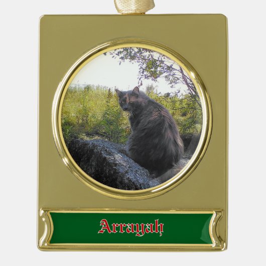 Banner Custom Cat Ornament (Vorderseite)