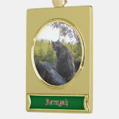 Banner Custom Cat Ornament (Links)