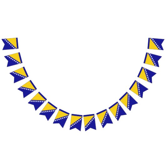 Banner der Flagge von Bosnien und Herzegowina (Alle)