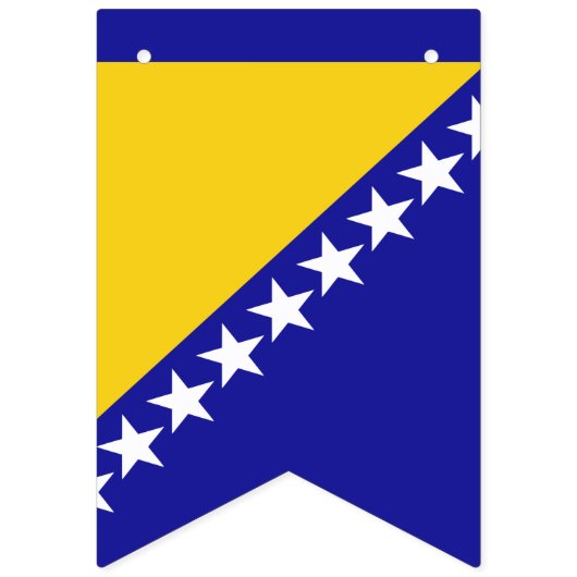 Banner der Flagge von Bosnien und Herzegowina (Dritte Fahne)