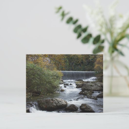 Banner Elk, NC Wasserfall Postkarte (Stehend Vorderseite)