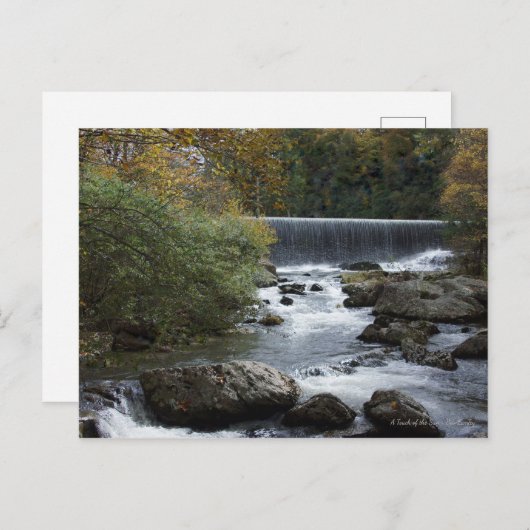 Banner Elk, NC Wasserfall Postkarte (Vorne/Hinten)