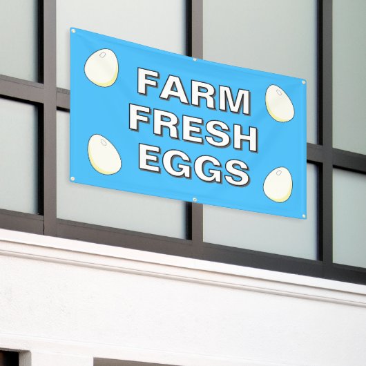 Banner Frische Eier (Äußeres Gebäude)