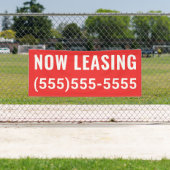 Banner für benutzerdefiniertes Jetzt Leasing (Insitu)