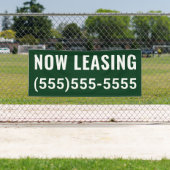 Banner für benutzerdefiniertes Jetzt Leasing (Insitu)