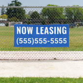 Banner für benutzerdefiniertes Jetzt Leasing (Insitu)