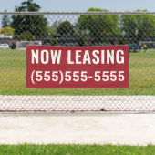 Banner für benutzerdefiniertes Jetzt Leasing (Insitu)