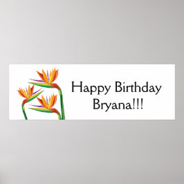 Banner für tropisches Party Poster