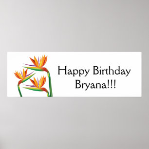 Banner für tropisches Party Poster