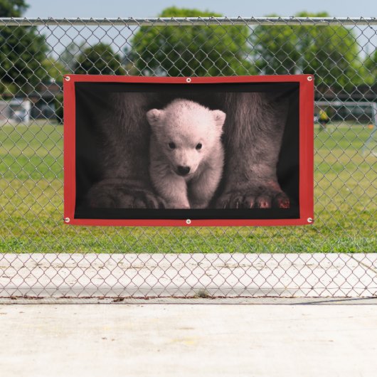 BANNER MIT BAR CUB (Insitu)