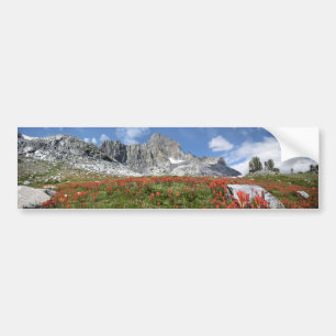 Banner Peak Wildblumen - Ansel Adams Wilderness Autoaufkleber