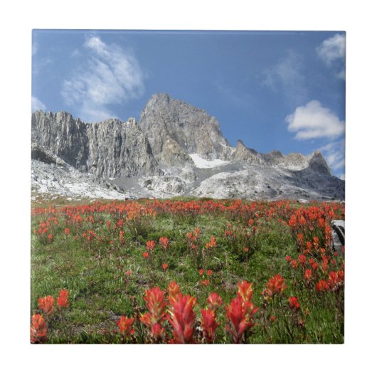 Banner Peak Wildblumen - Ansel Adams Wilderness Fliese (Vorderseite)
