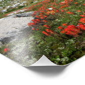 Banner Peak Wildblumen - Ansel Adams Wilderness Fotodruck (Ecke)