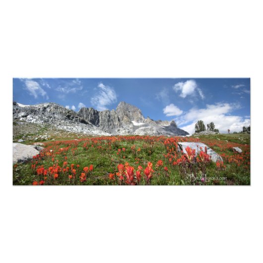 Banner Peak Wildblumen - Ansel Adams Wilderness Fotodruck (Vorne)