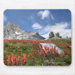 Banner Peak Wildblumen - Ansel Adams Wilderness Mousepad