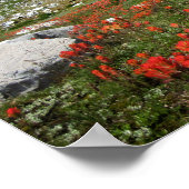 Banner Peak Wildblumen - Ansel Adams Wilderness Poster (Ecke)