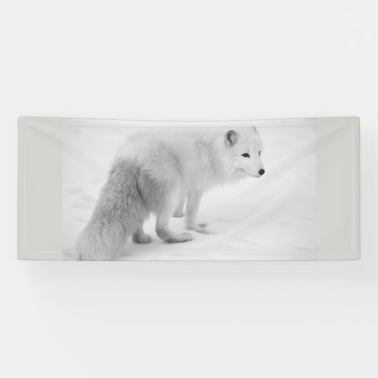 Banner "WHITE ARTIC FOX 2.5 X 6" (Horizontal)