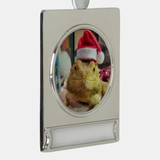 Bannerdekoration Banner-Ornament Silber (Rechts)