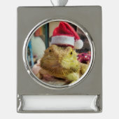 Bannerdekoration Banner-Ornament Silber (Vorderseite)