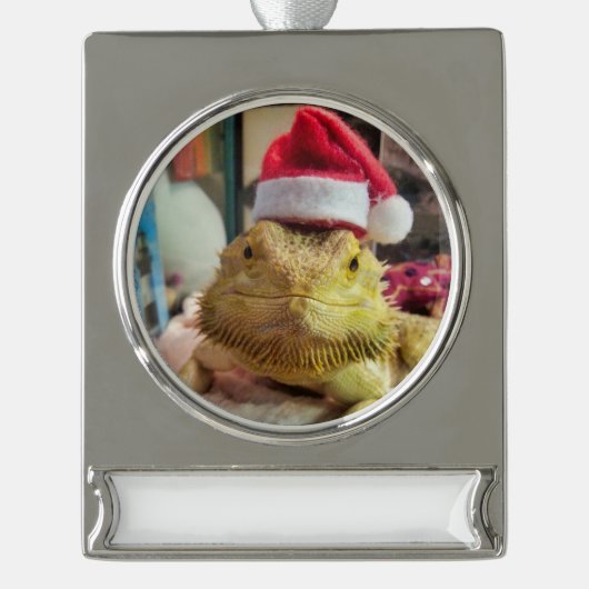 Bannerdekoration Banner-Ornament Silber (Vorderseite)