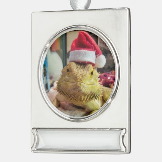 Bannerdekoration Banner-Ornament Silber (Links)