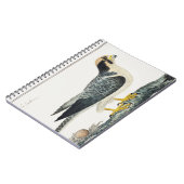 Bannerfalke | Hawk | Vogeldarstellung Notizblock (Linke Seite)