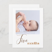 Bannerkarte für das erste Foto für fünf Monate (Vorne/Hinten)