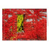 Bannerman-Fenster (Vorderseite (Horizontal))