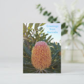 Banskia Blume Western Australien Postkarte (Stehend Vorderseite)