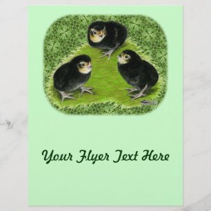 Bantam Chicks im Garten Flyer